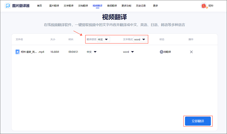开始翻译