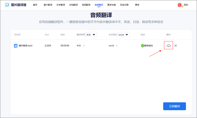 下载翻译结果