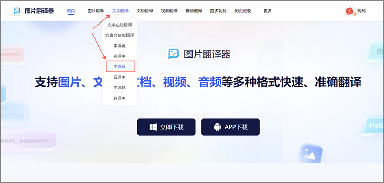 选择翻译功能