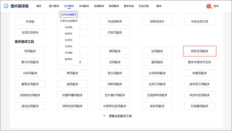 进入西班牙语翻译功能