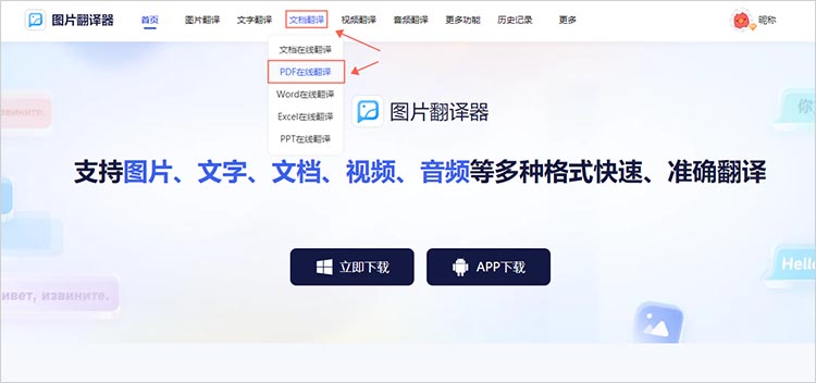 进入翻译功能