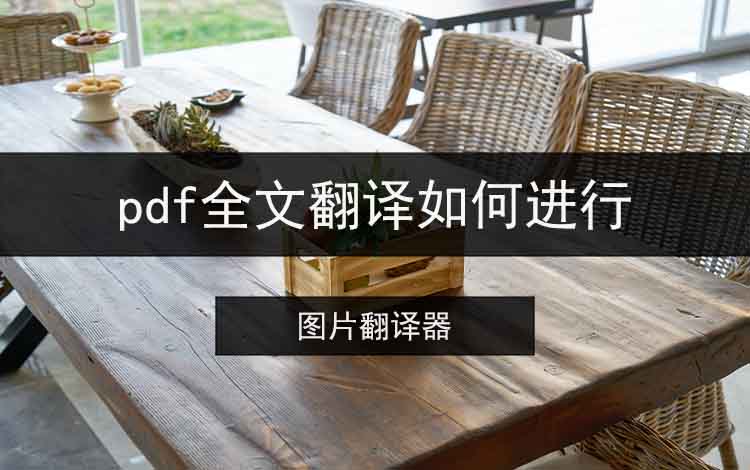 pdf全文翻译如何进行