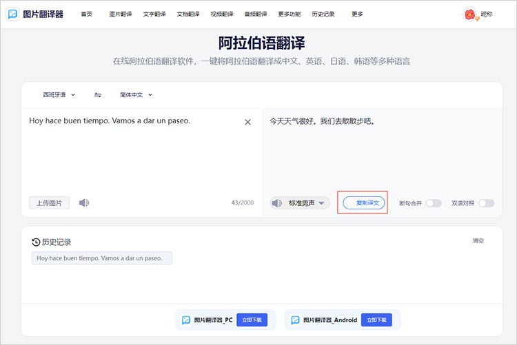 输入文本进行翻译